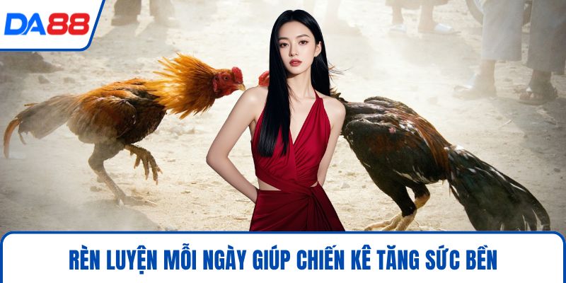 Cách Chăm Gà Chọi Hiệu Quả 2026 Chuẩn Sư Kê Tại DA88 3 Rèn luyện mỗi ngày giúp chiến kê tăng sức bền