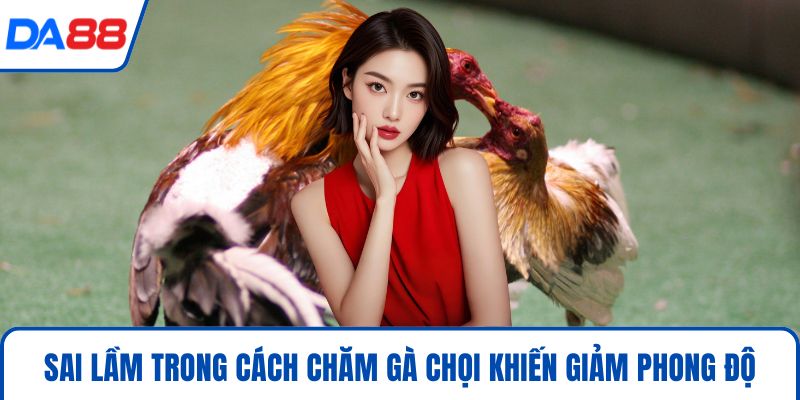 Cách Chăm Gà Chọi Hiệu Quả 2026 Chuẩn Sư Kê Tại DA88 5 Sai lầm trong cách chăm gà chọi khiến giảm phong độ